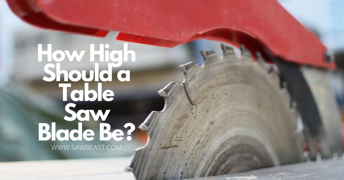 How-High-Should-a-Table-Saw-Blade-Be